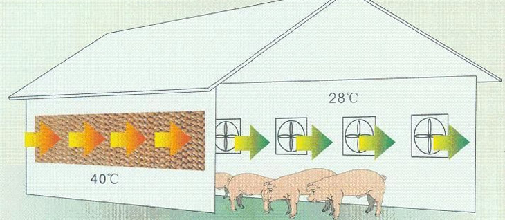 養(yǎng)殖畜牧行業(yè)通風(fēng)降溫
